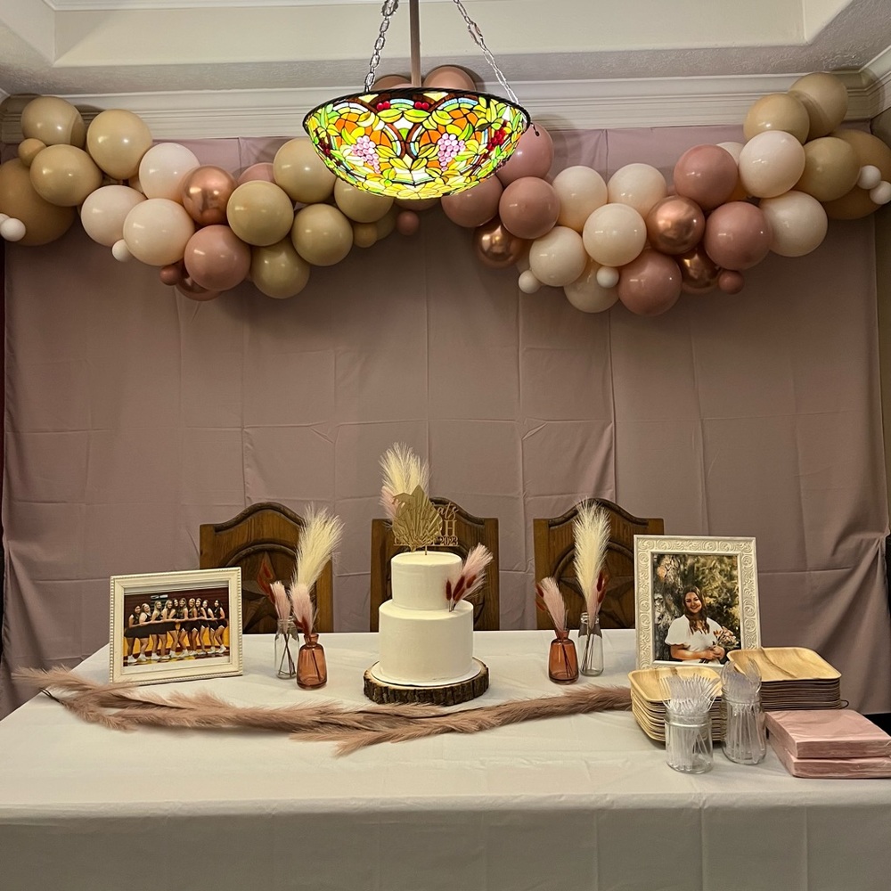 Pink Curtains(Panels)